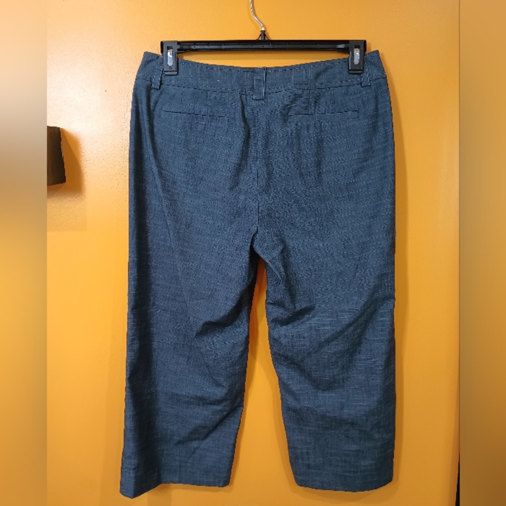 Apt 9 Stretch Maxwell Gray Cropped Pants Size 12 - Picture 10 of 12
